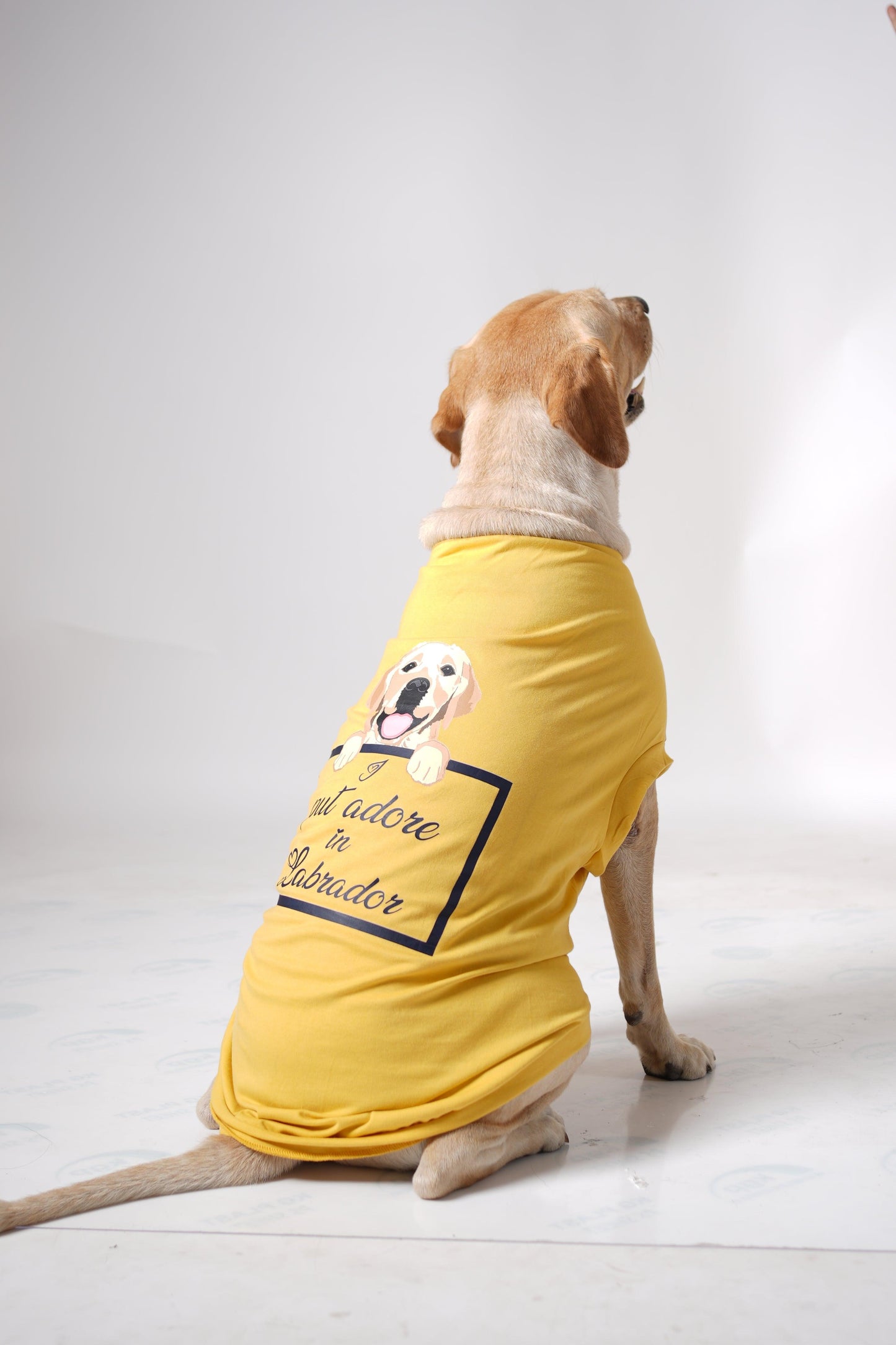 Thunder Tails I PUT ADORE IN LABRADOR T-shirts