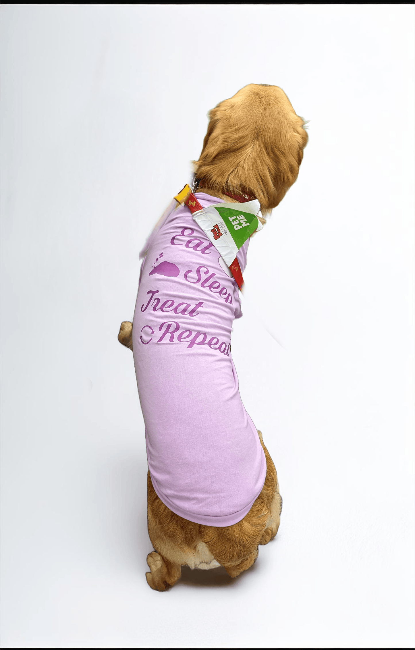 Thunder Tails EAT SLEEP TREAT REPEAT T-shirts