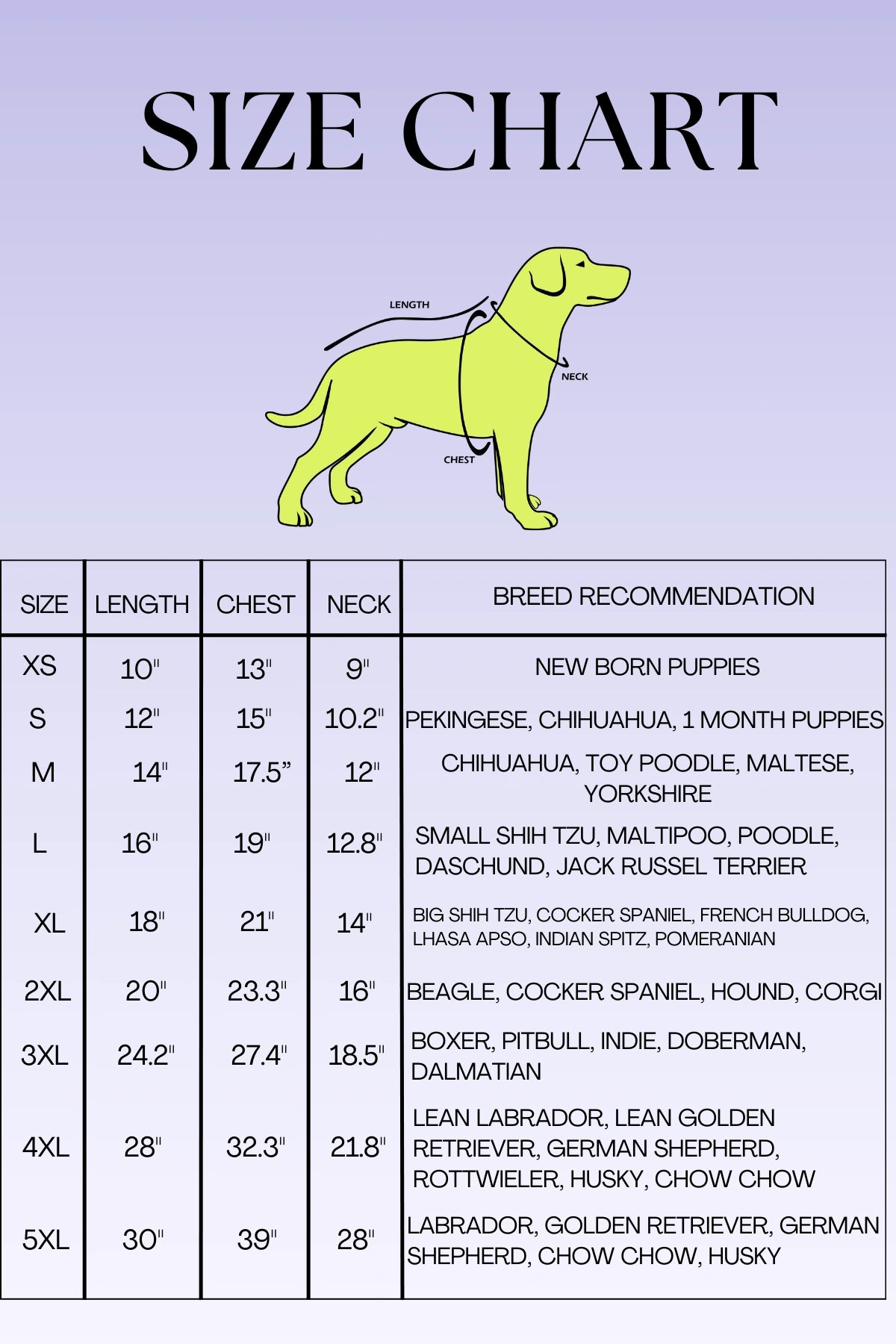 Thunder Tails No Bad Vibes, Only Treats Adjustable Graphic T-shirt