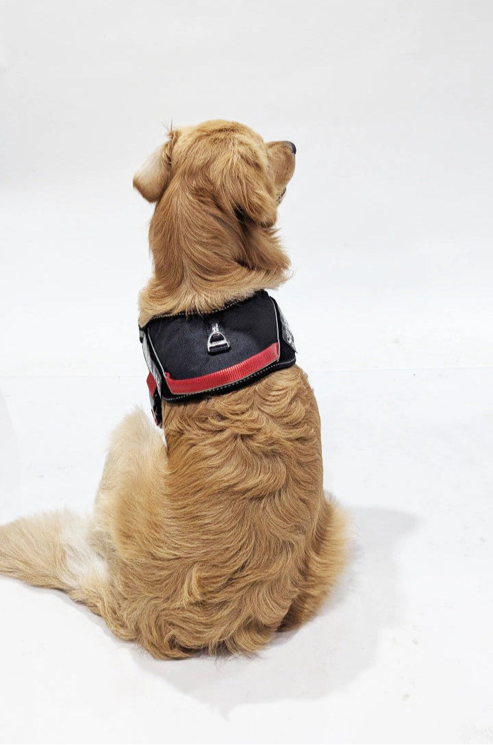 Black-Red-dog harness