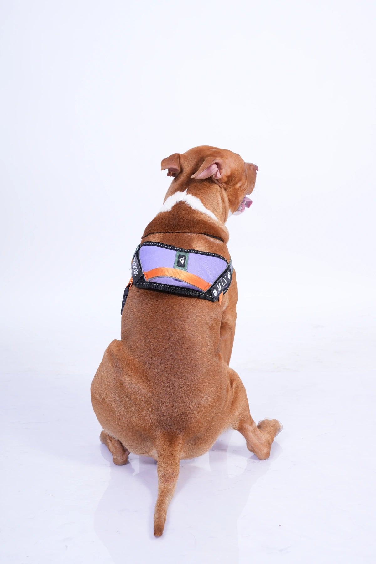 Lilac-Olive-Orange