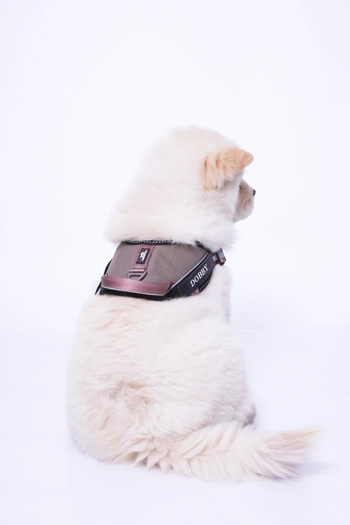 Brown-Brown_dog harness