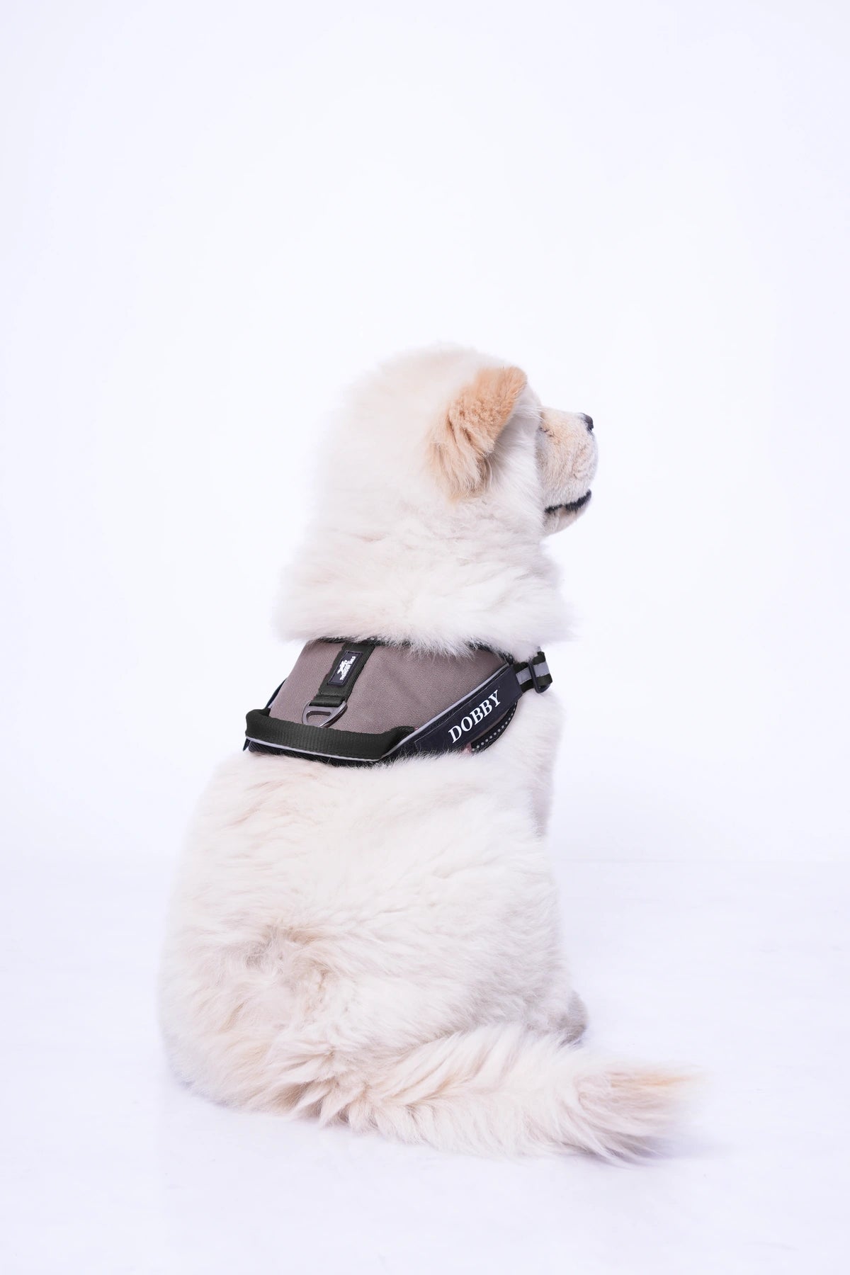 Espresso_dog harness