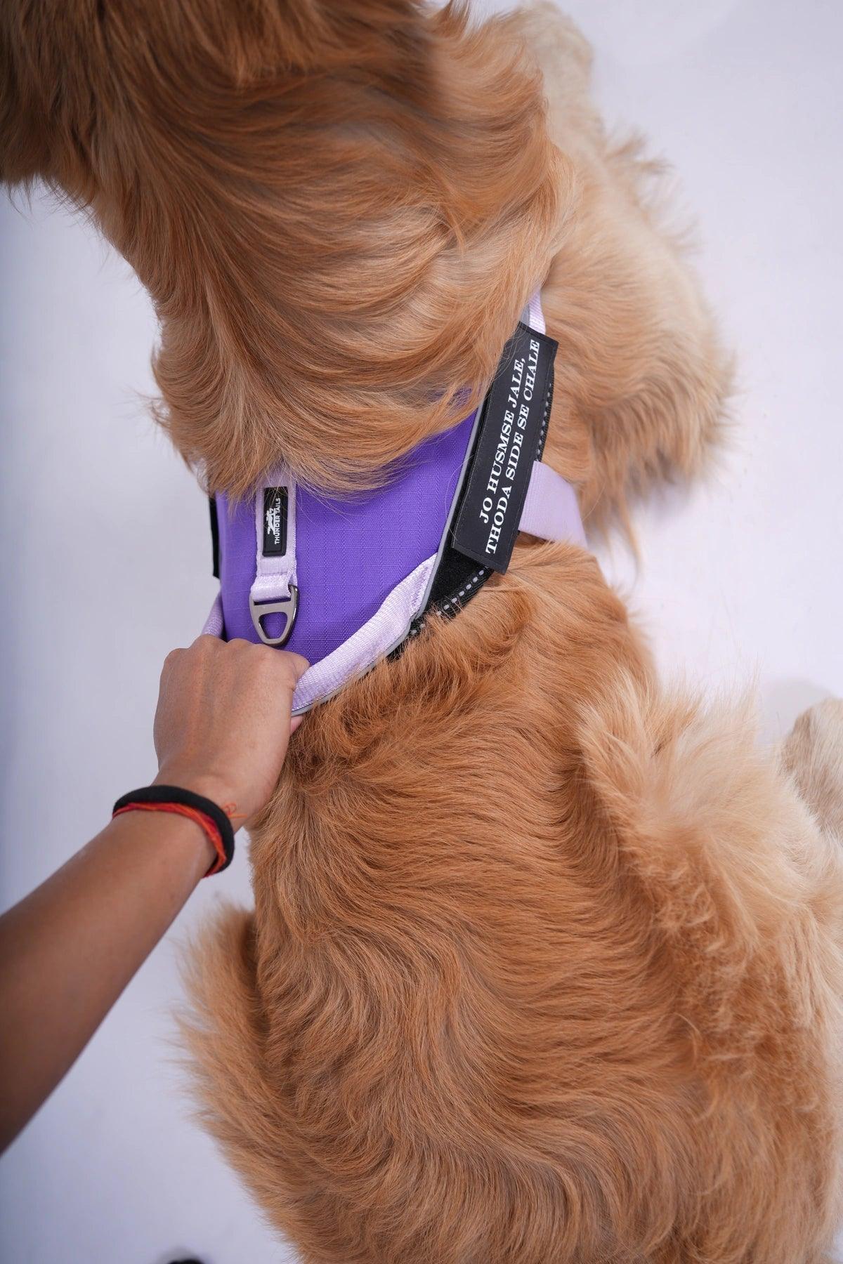 Lavender-Lilac_dog harness
