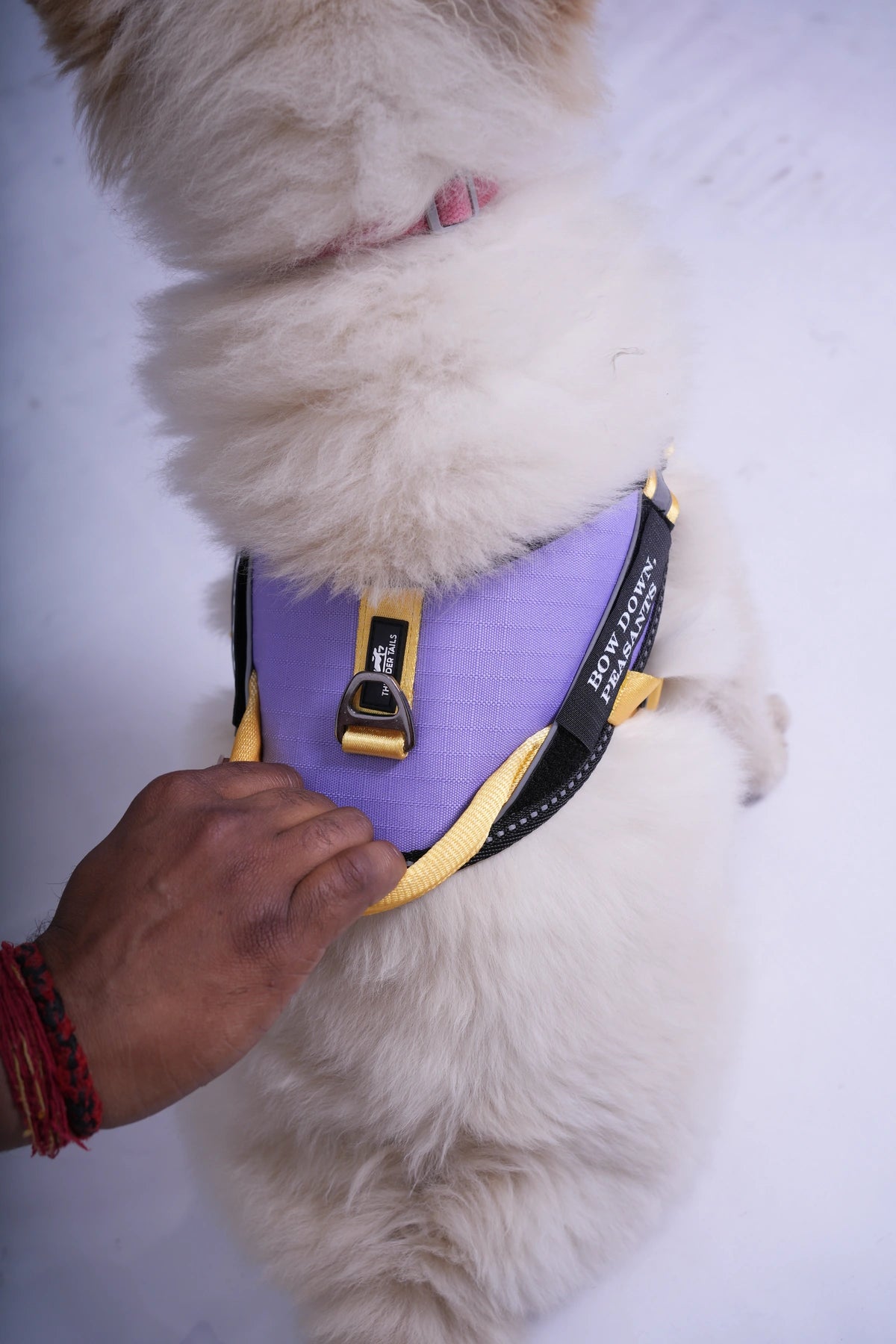 Lilac-Yellow-dog harness