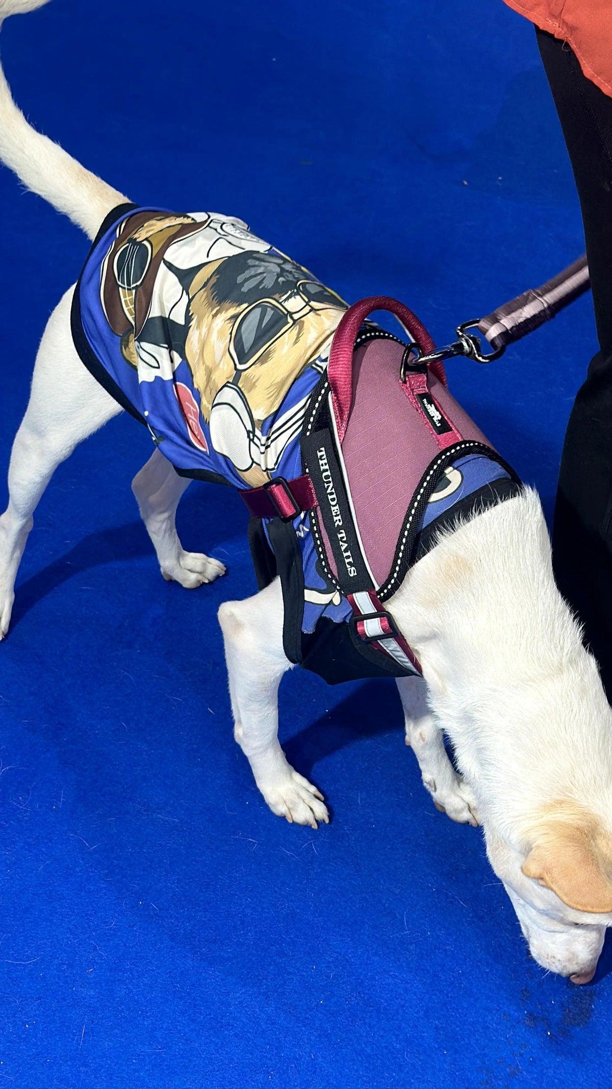 Mauve-Wine_dog harness