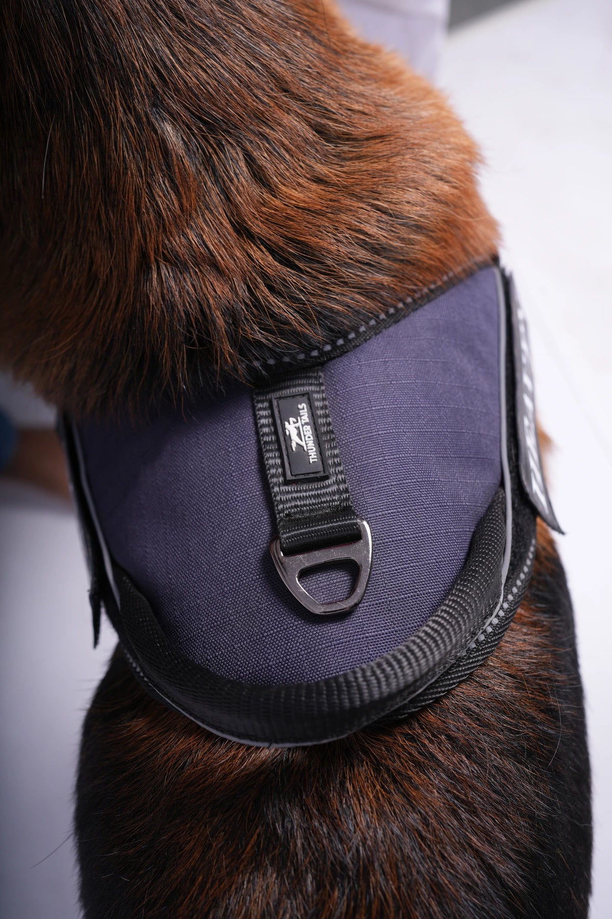Navy_dog harness