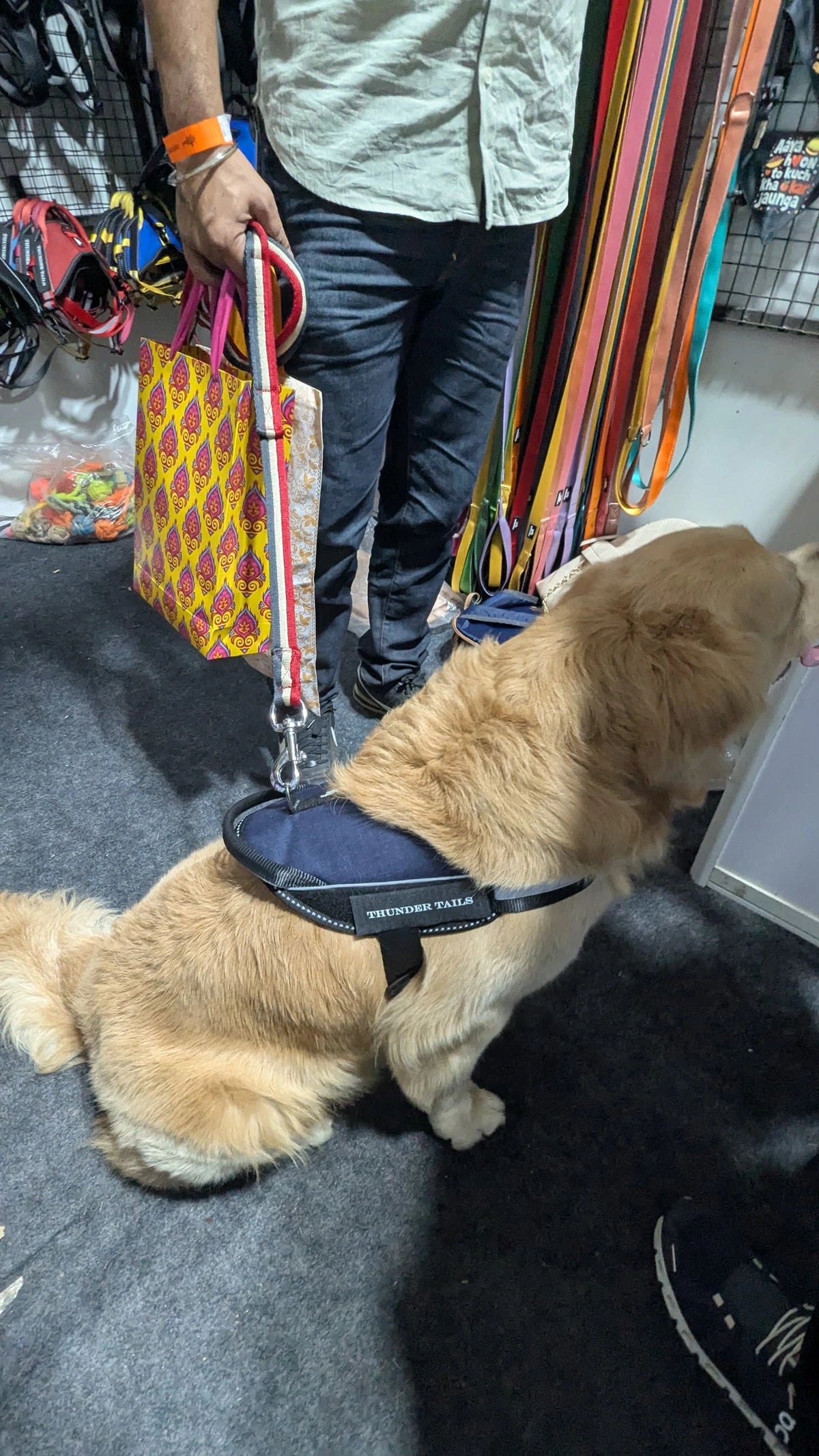 Navy_dog harness