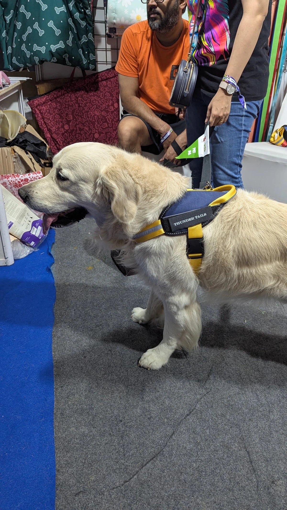 Navy-Yellow-dog harness