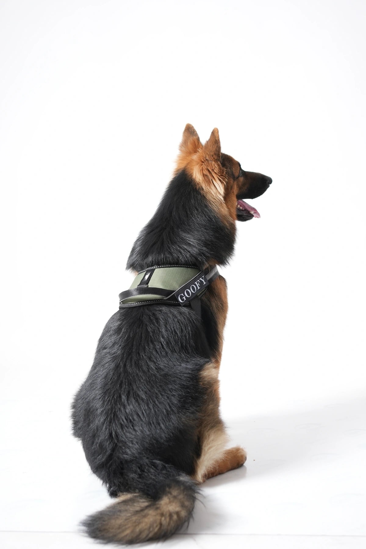 Olive_dog harness