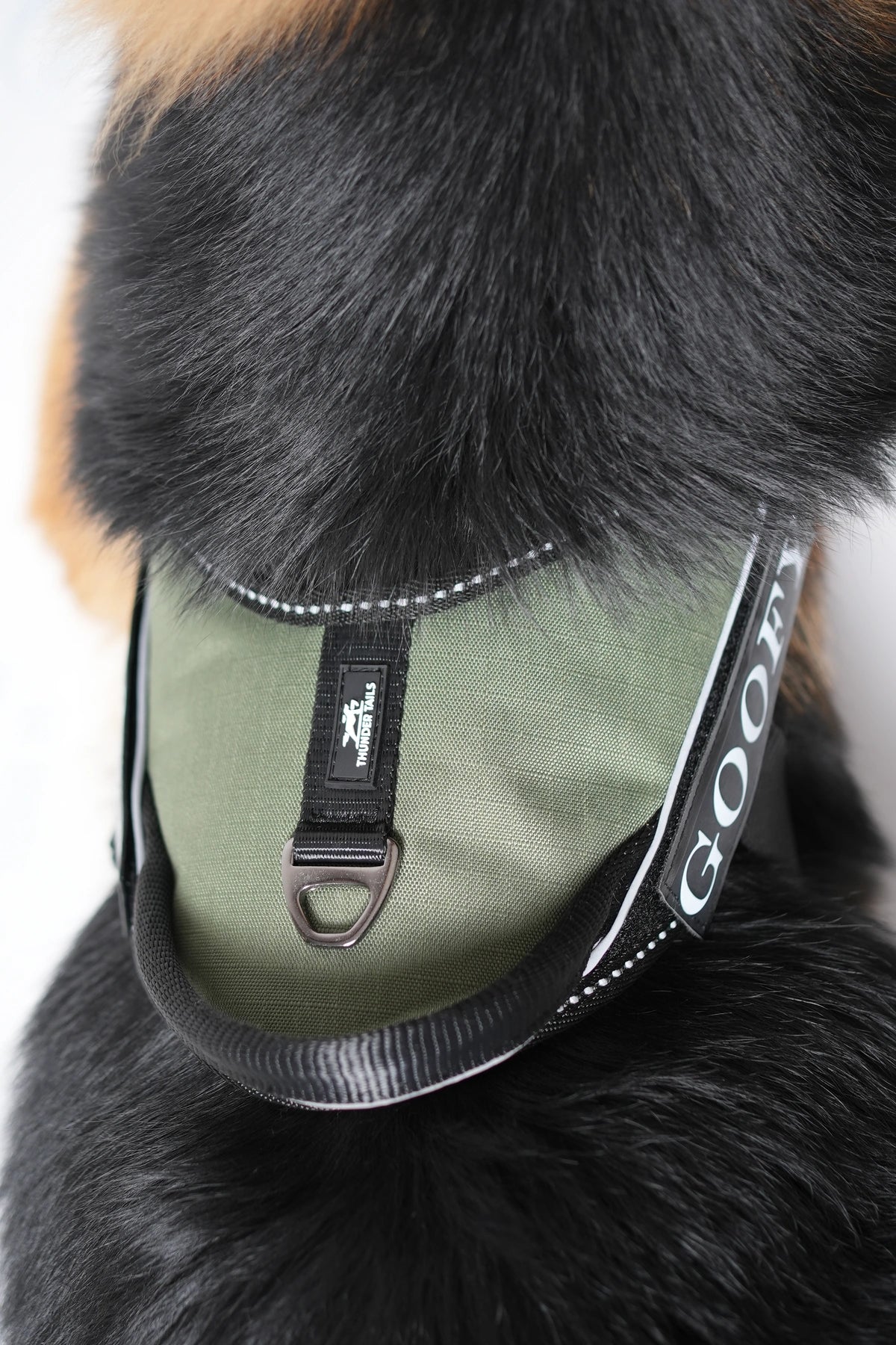 Olive_dog harness