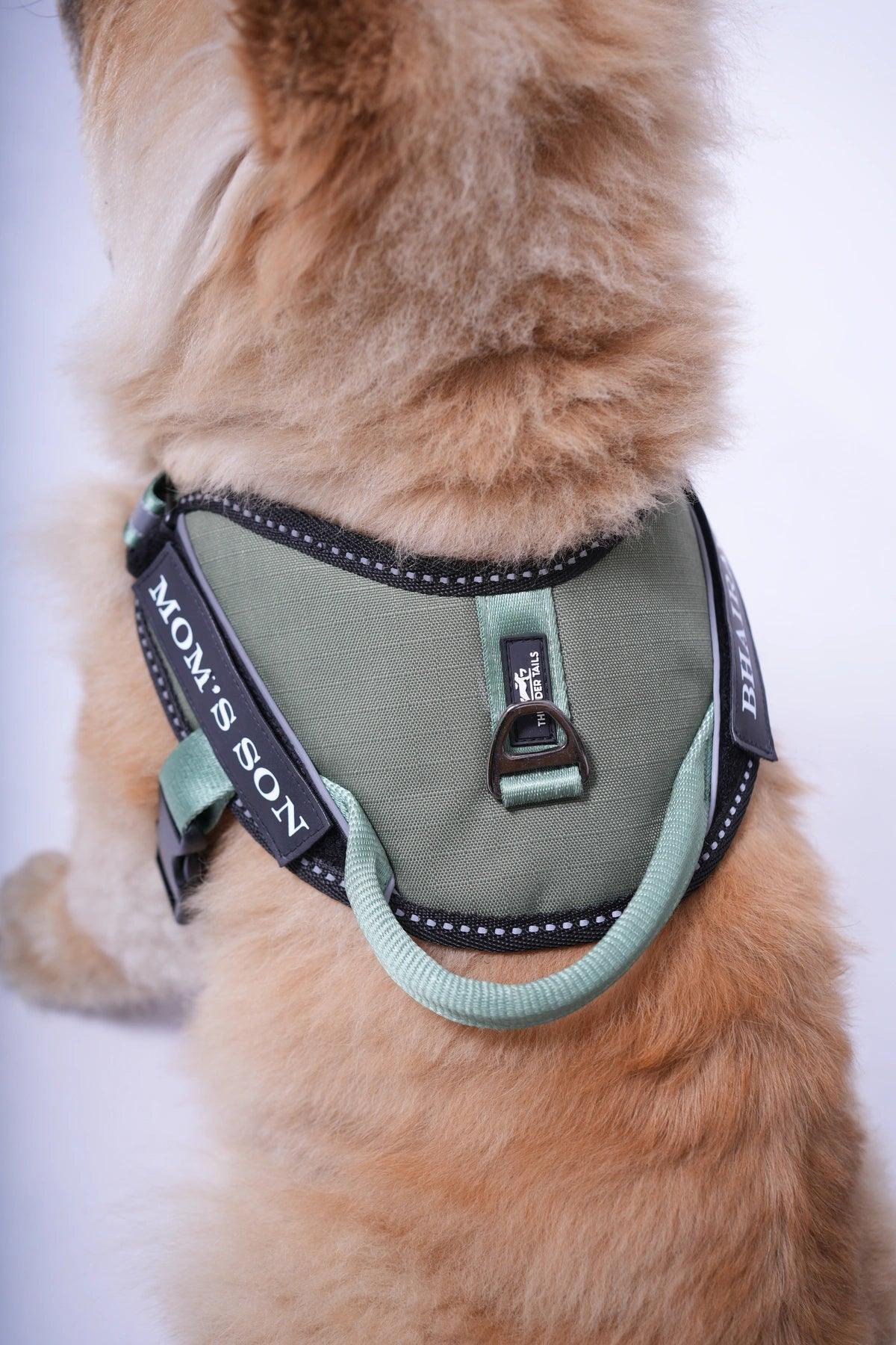 Olive-Olive_dog harness