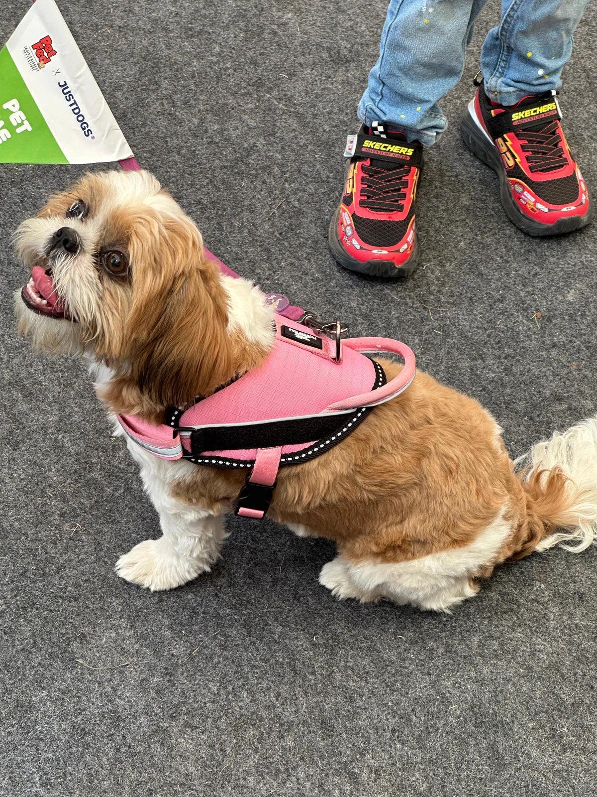 Pink-Pink_dog harness