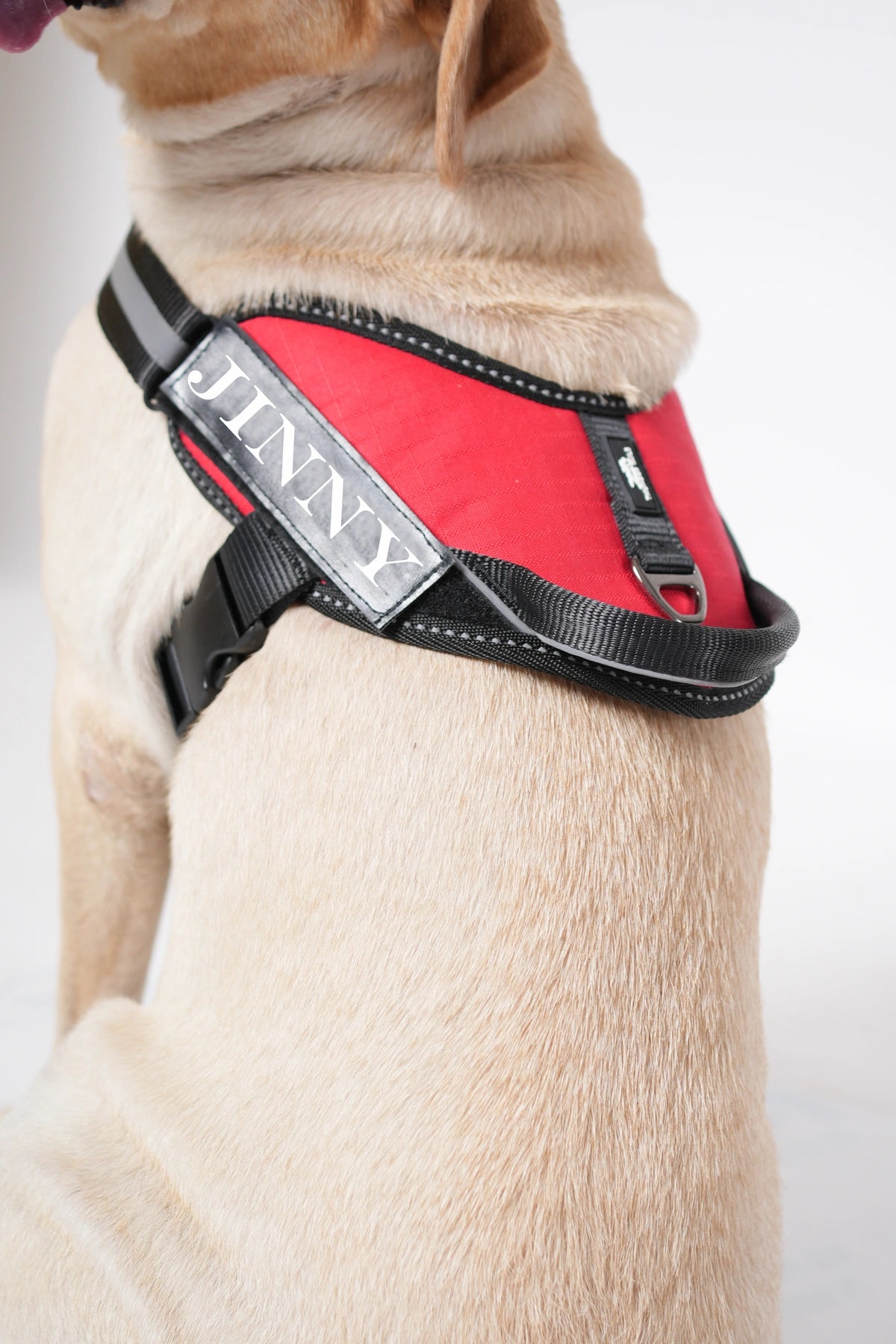 Red_dog harness