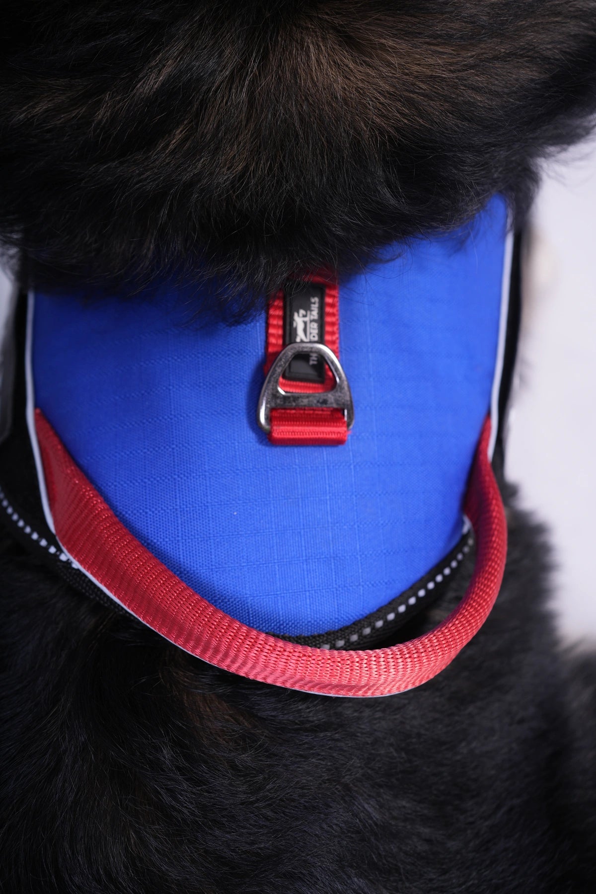 Royal-Red-dog harness