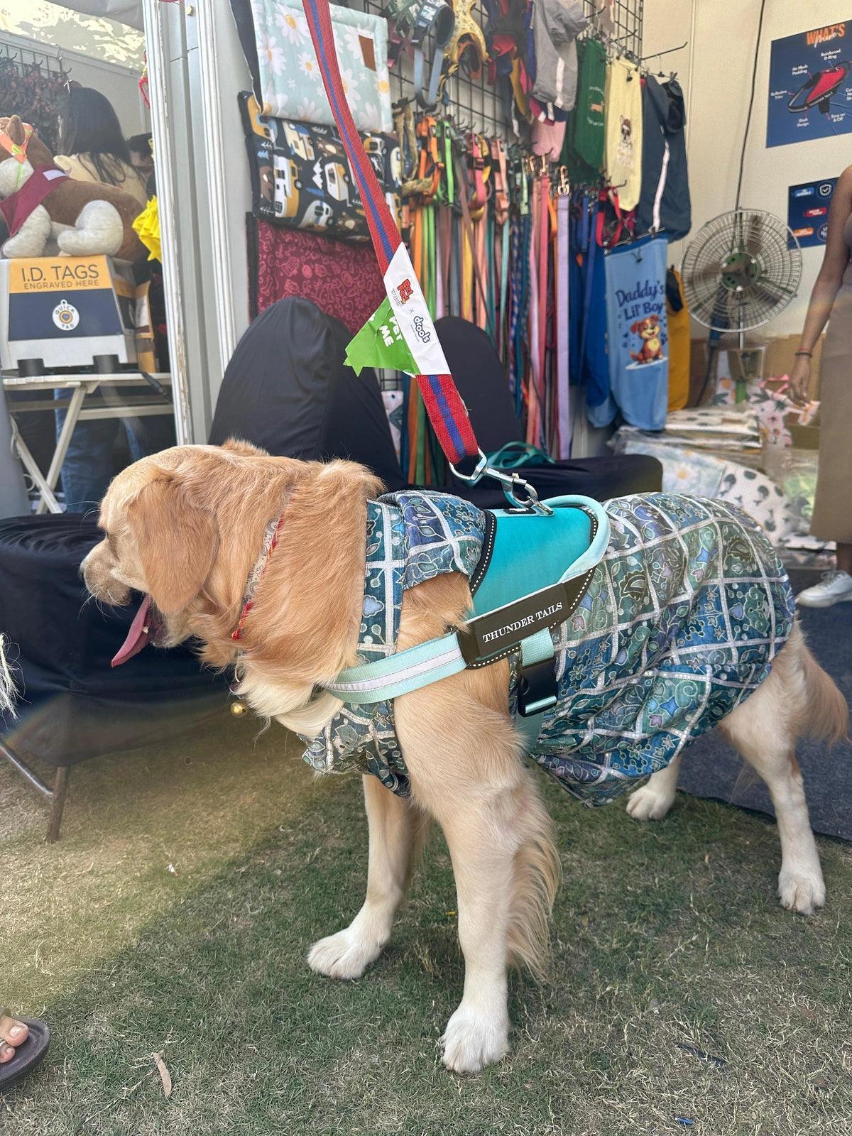 Teal-Teal_dog harness