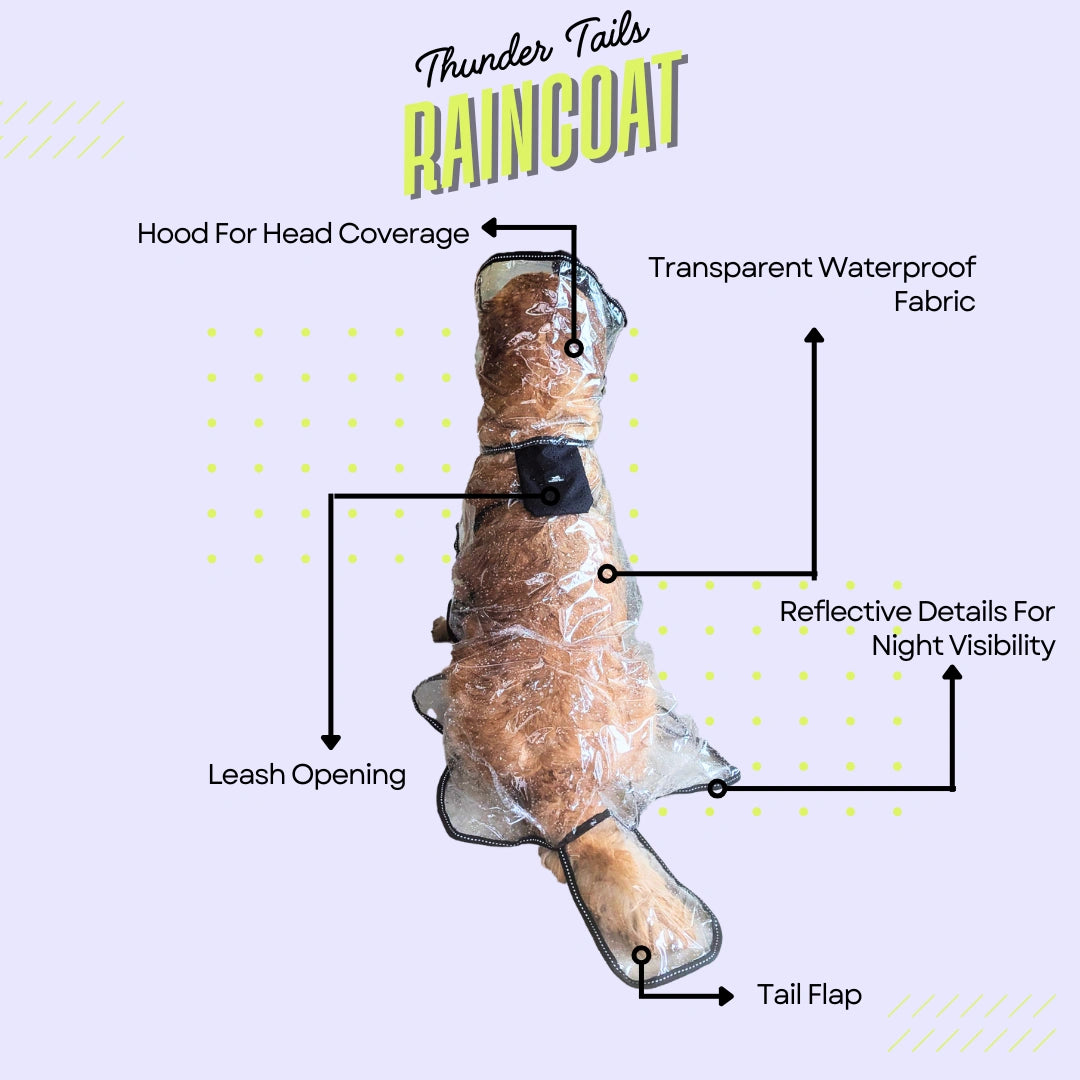 Thunder Tails Transparent Raincoat