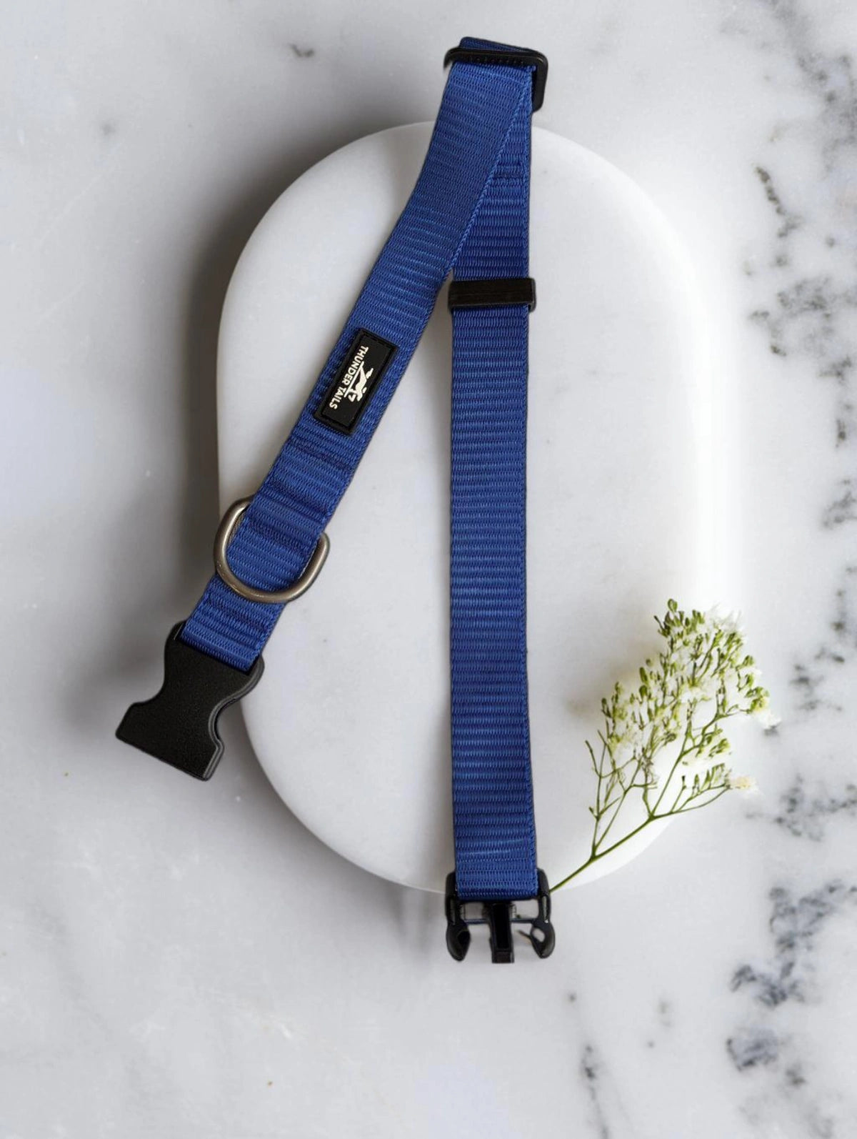 Thunder Tails Everyday Nylon Collars - Blue