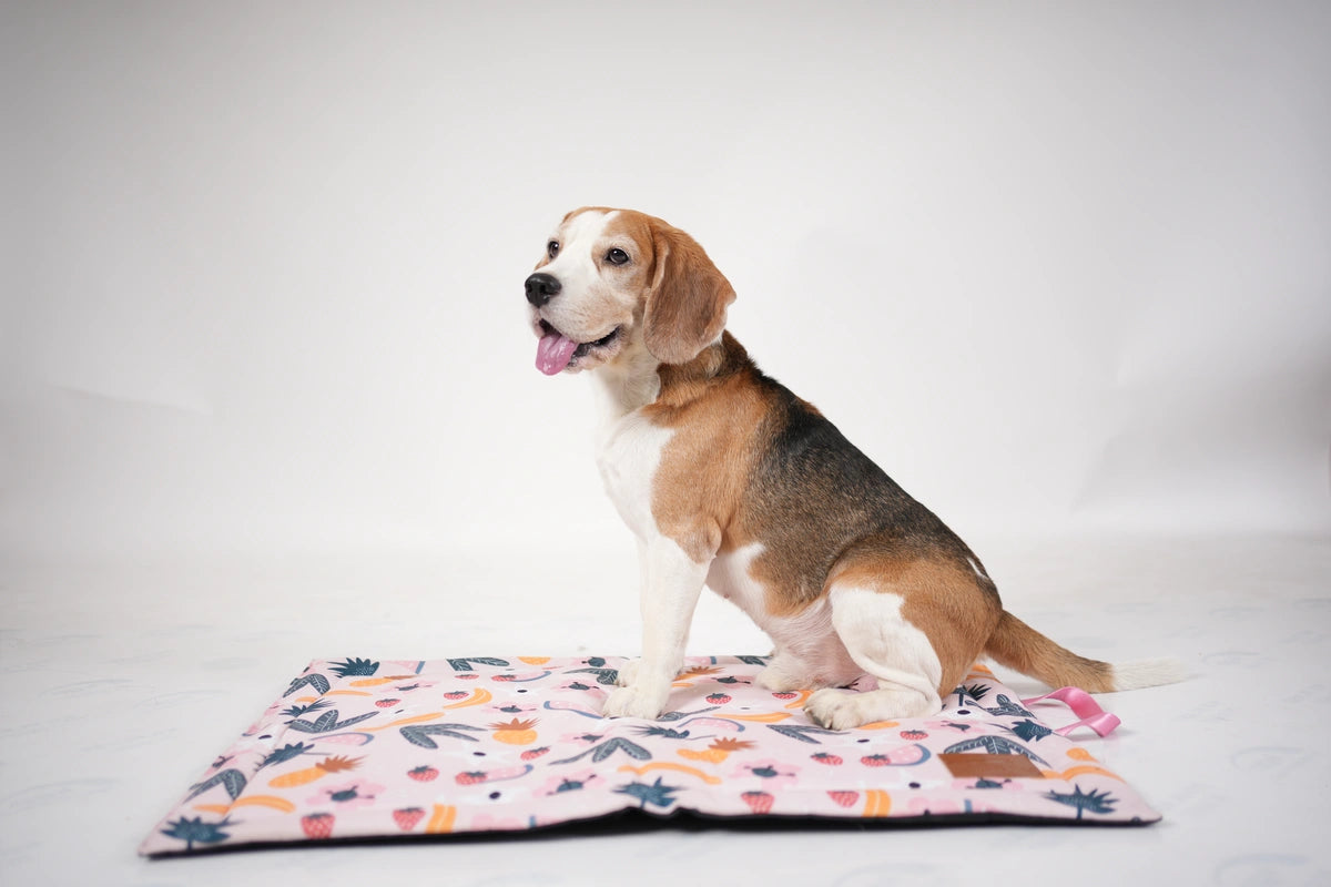 Thunder Tails 5-More-Minutes Dog Mats- Pink Floral Print