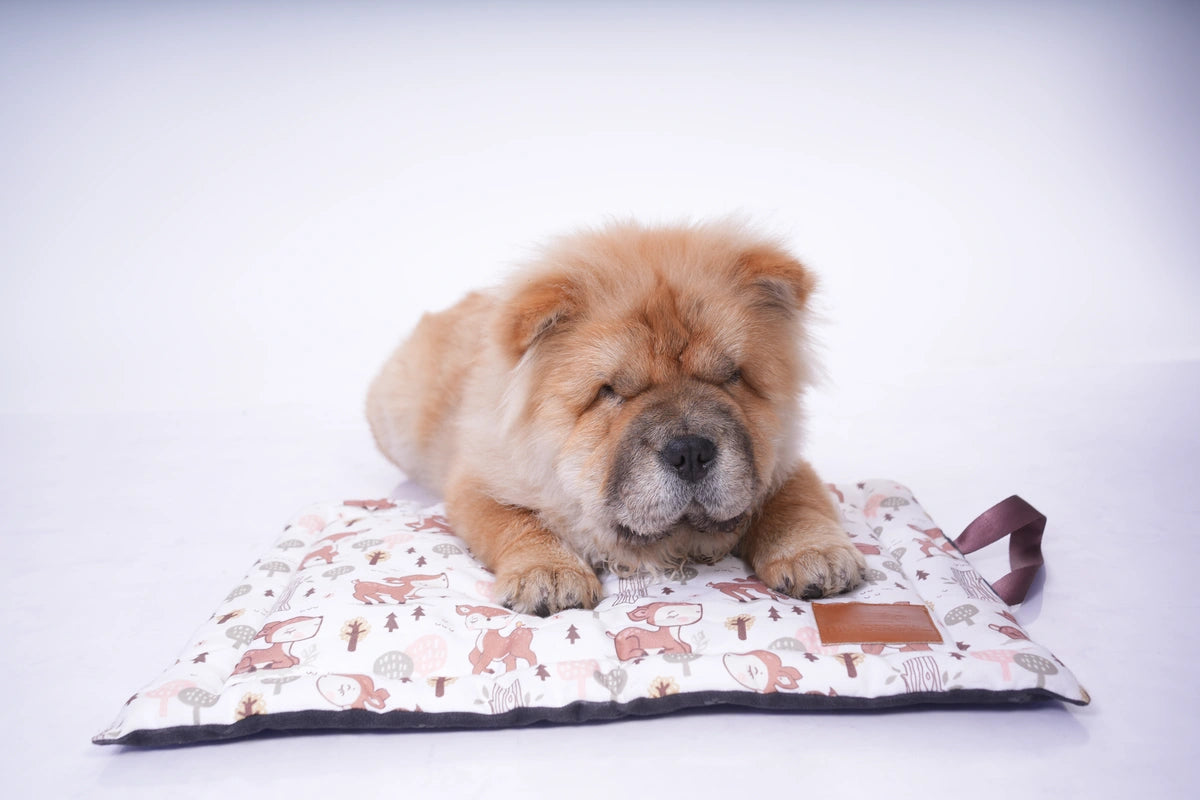 Thunder Tails 5-More-Minutes Dog Mats- Deer Print