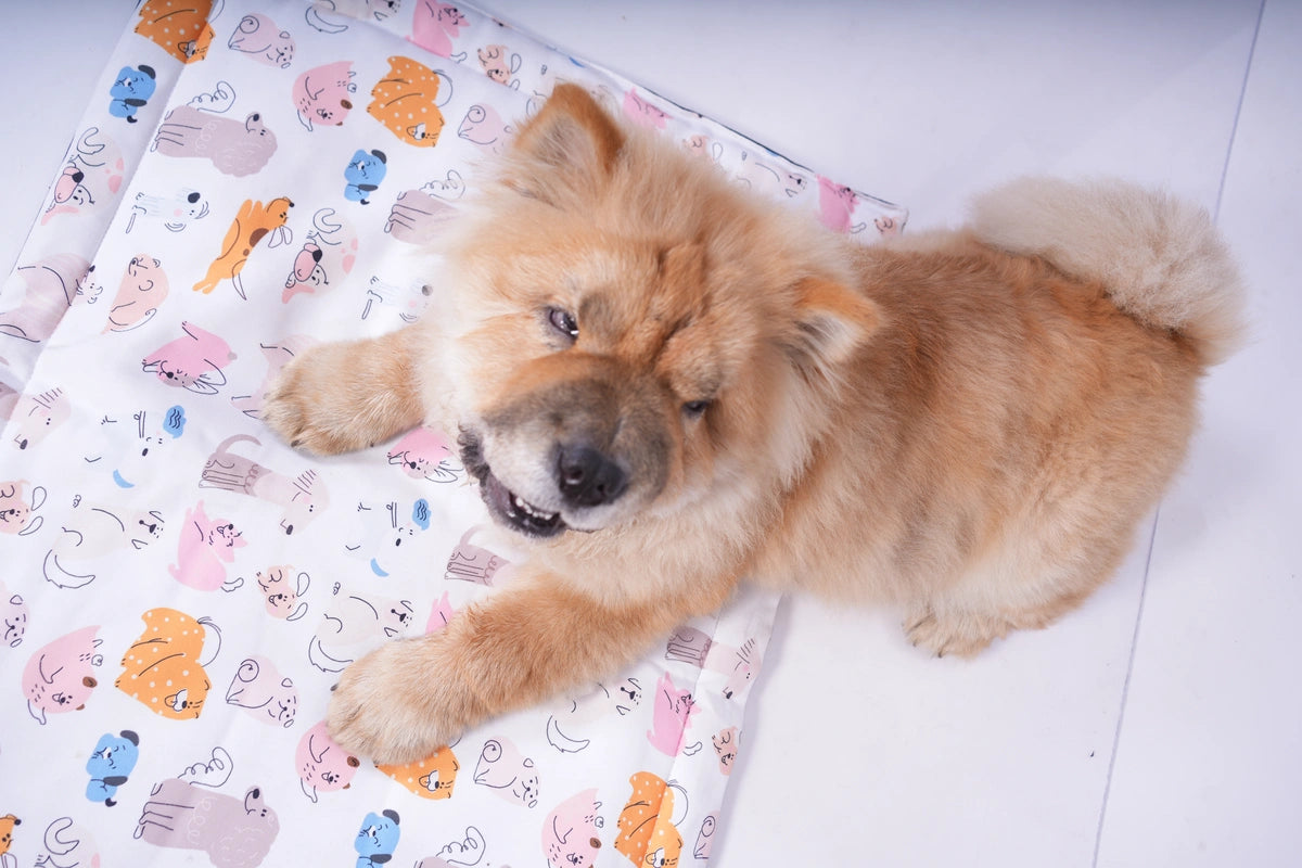 Thunder Tails 5-More-Minutes Dog Mats- Dog Print