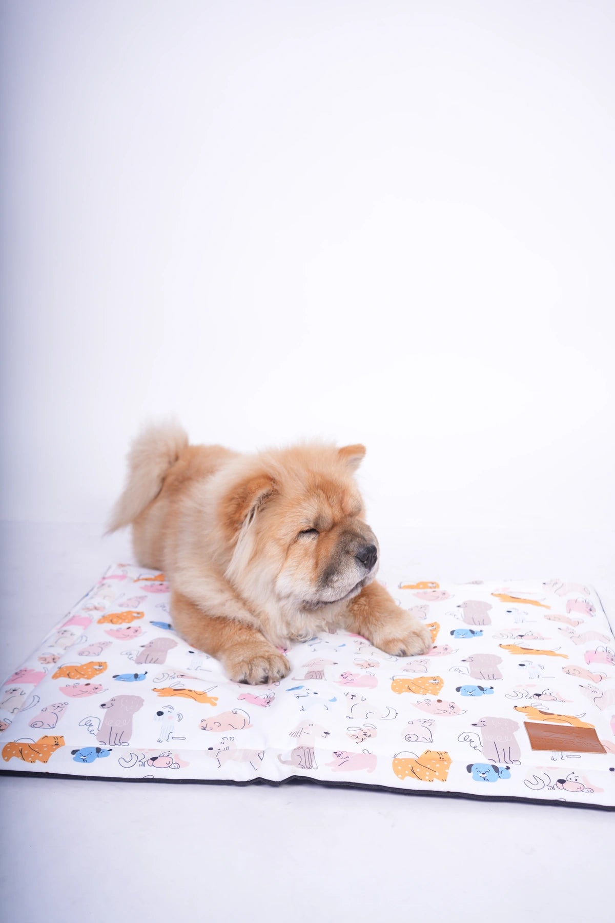 Thunder Tails 5-More-Minutes Dog Mats- Dog Print