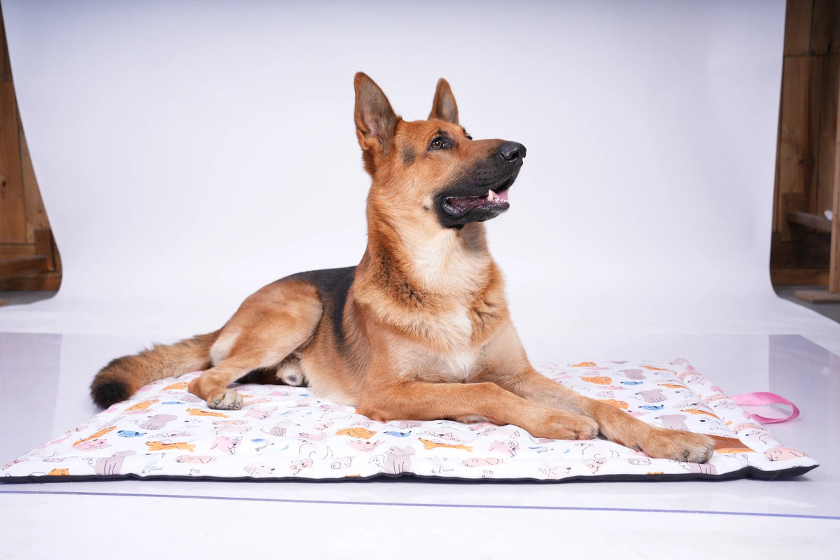 Thunder Tails 5-More-Minutes Dog Mats- Dog Print