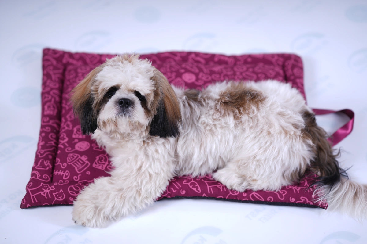 Thunder Tails 5-More-Minutes Dog Mats- Burgundy Doodle Print