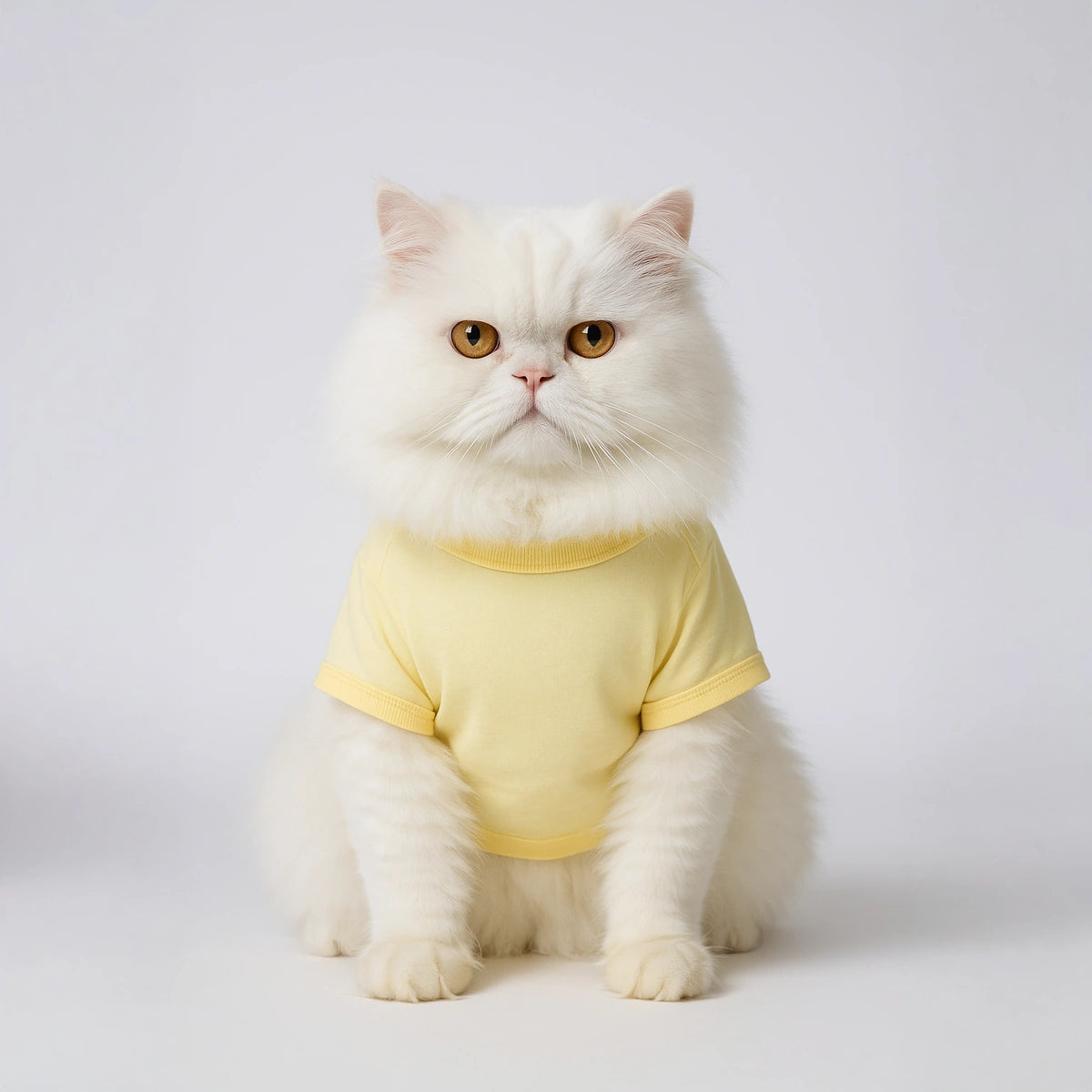 Thunder Tails Chaos Coordinator T-shirt