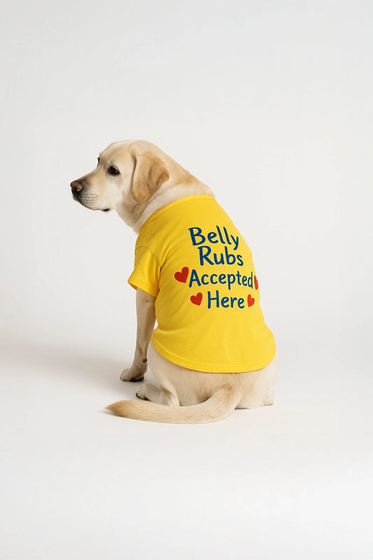 Thunder Tails Belly Rubs Accepted Here T-shirts
