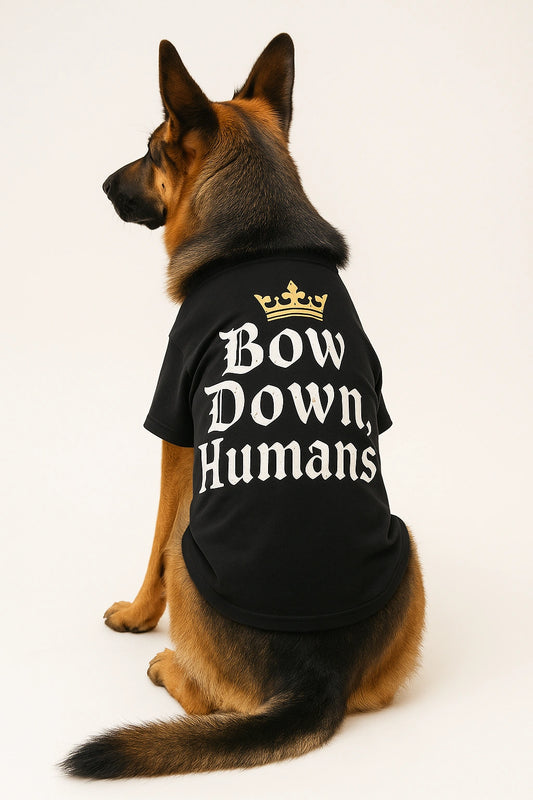 Thunder Tails Bow Down Humans T-shirts