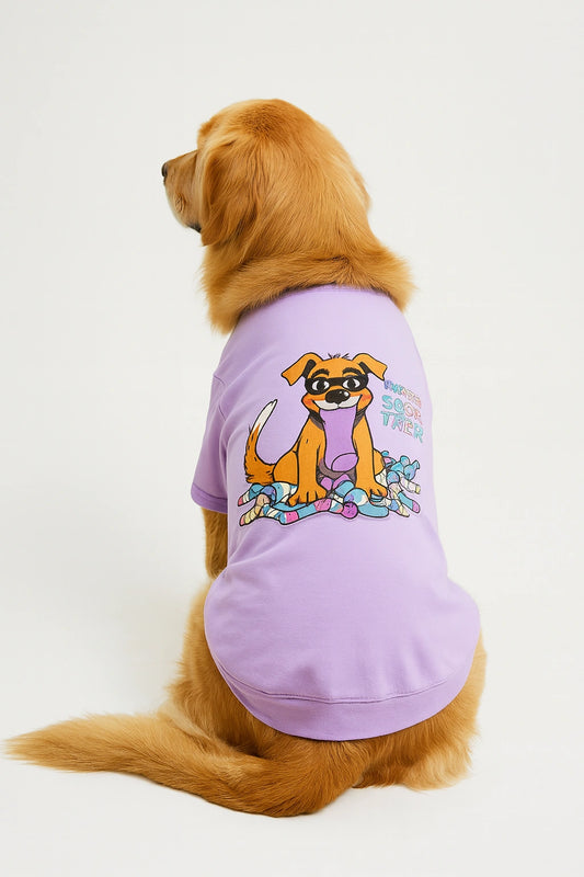 Thunder Tails Master Sock Theif T-shirts