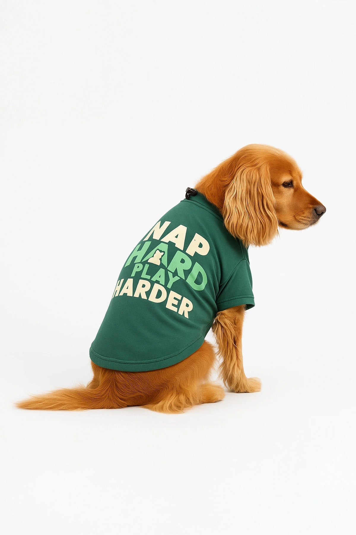 Thunder Tails Nap Hard, Play Harder Adjustable Graphic T-shirt