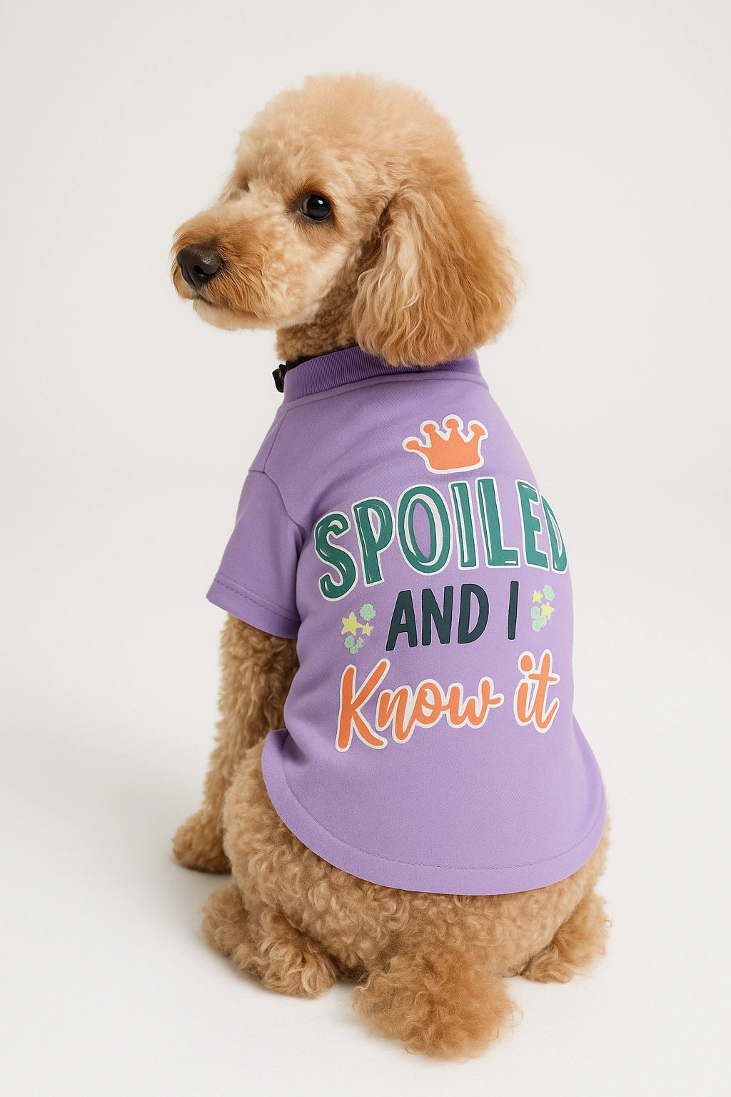 Thunder Tails Spoiled & I know it Adjustable Graphic T-shirt