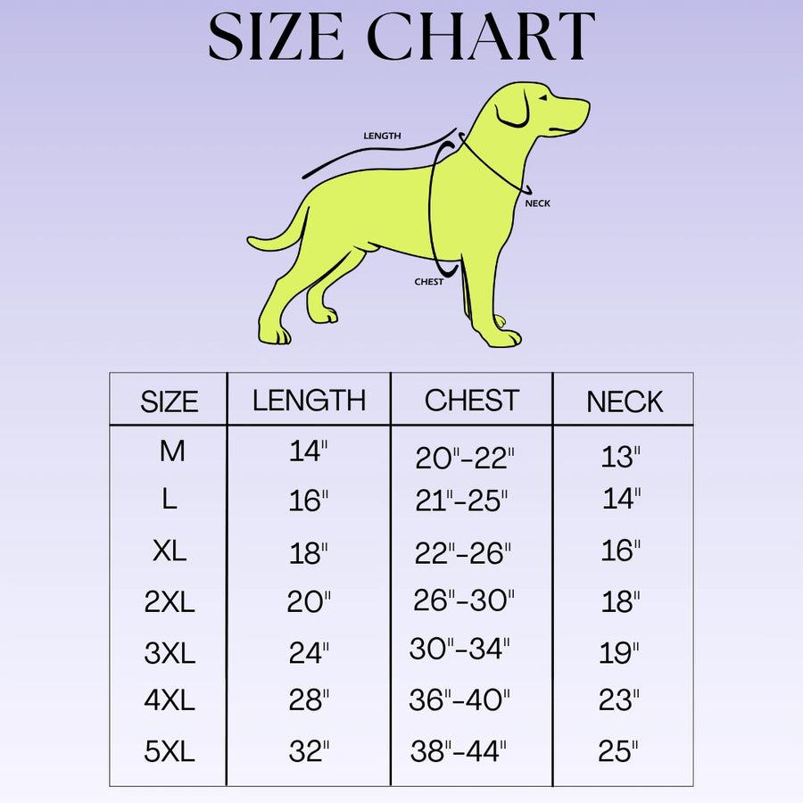 Dog Size Chart