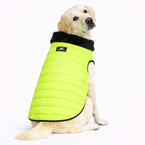 Dog Jackets