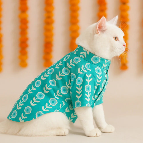 Cat Kurtas