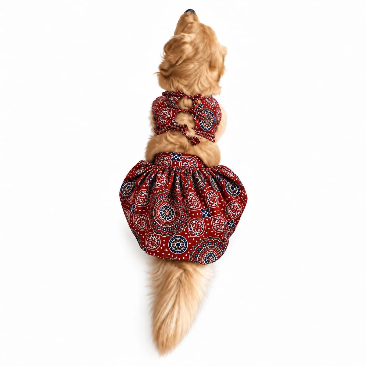 Thunder Tails Andaaz-e-Ajrakh Red Dog Lehenga