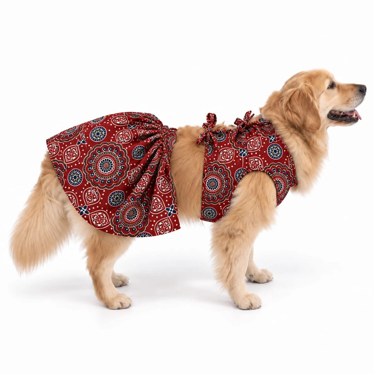 Thunder Tails Andaaz-e-Ajrakh Red Dog Lehenga