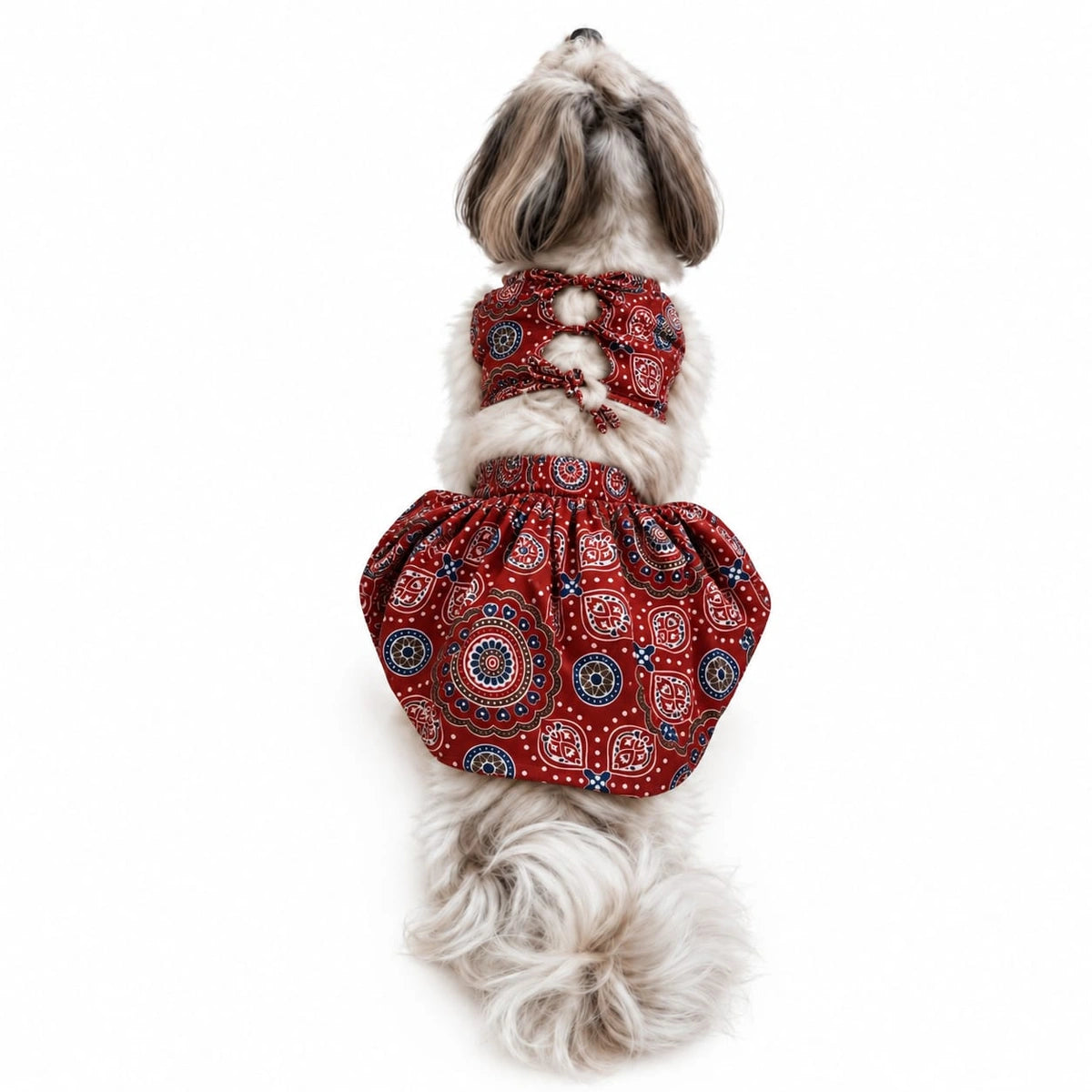 Thunder Tails Andaaz-e-Ajrakh Red Dog Lehenga