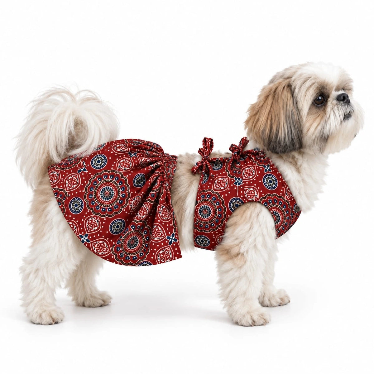 Thunder Tails Andaaz-e-Ajrakh Red Dog Lehenga