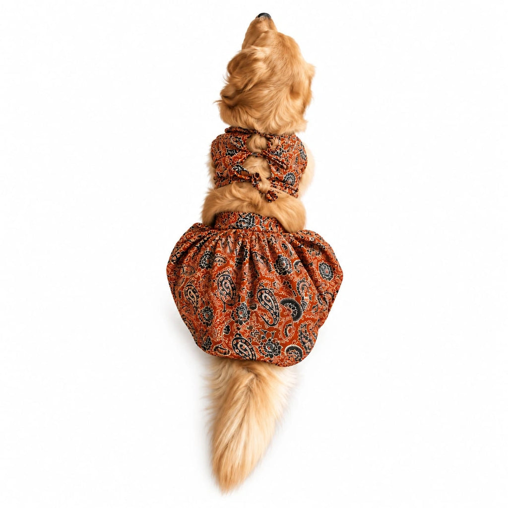 Thunder Tails Andaaz-e-Ajrakh Orange Dog Lehenga