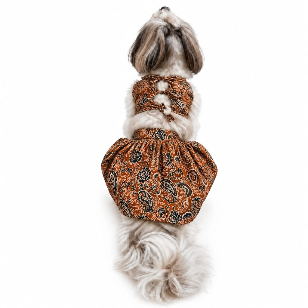 Thunder Tails Andaaz-e-Ajrakh Orange Dog Lehenga