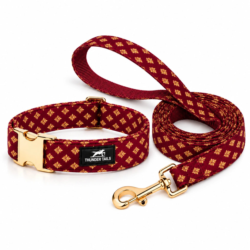 Thunder Tails Rangrez Collar + Leash Set - Maroon