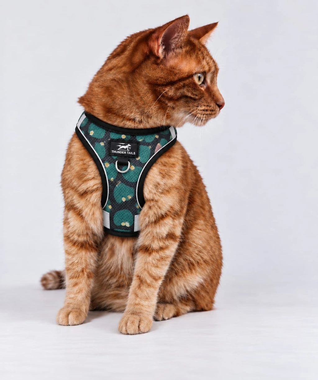 Thunder Tails Cat Harness & Leash Set- Green-Black