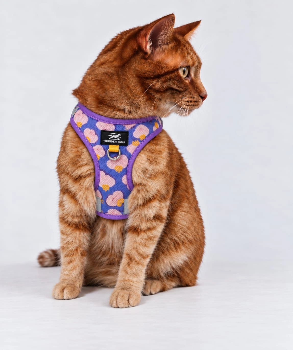Thunder Tails Cat Harness & Leash Set- Lilac Yellow