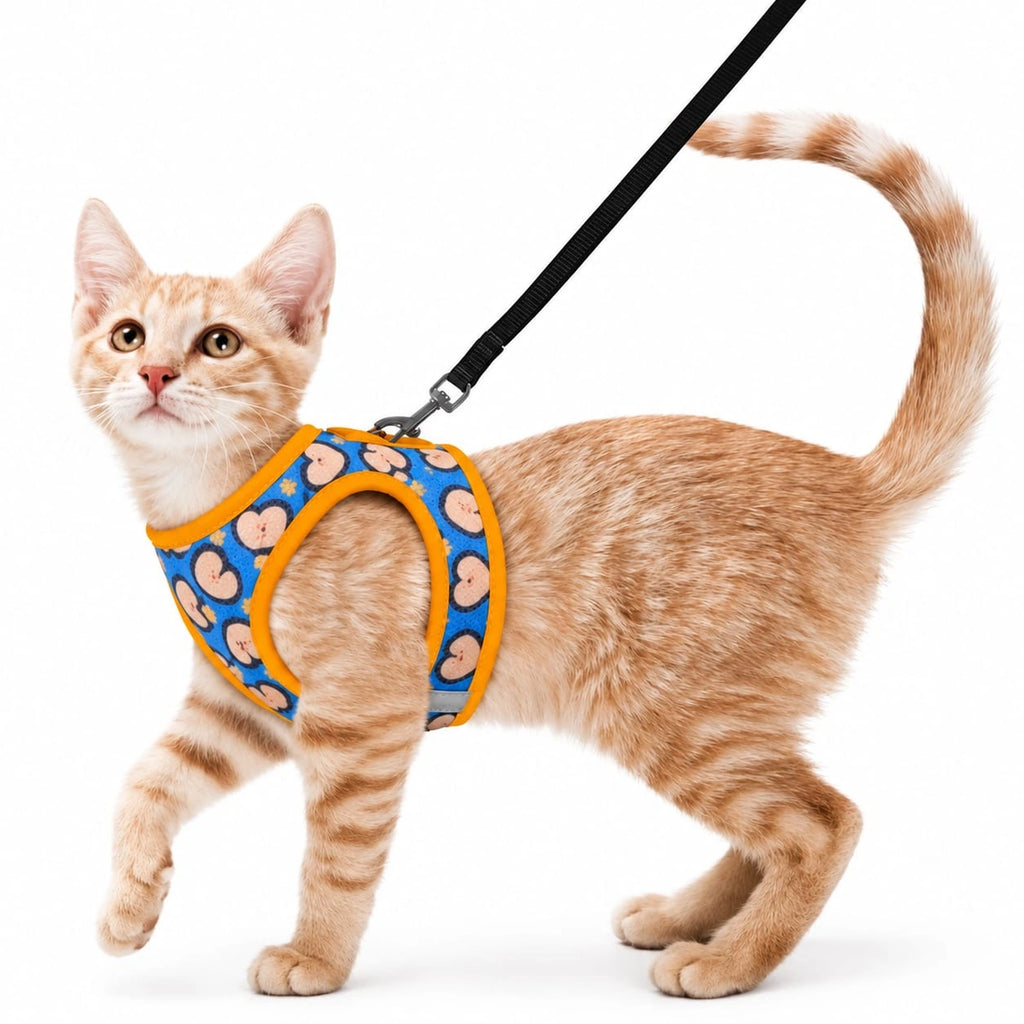 Thunder Tails Cat Harness & Leash Set- Yellow-Blue