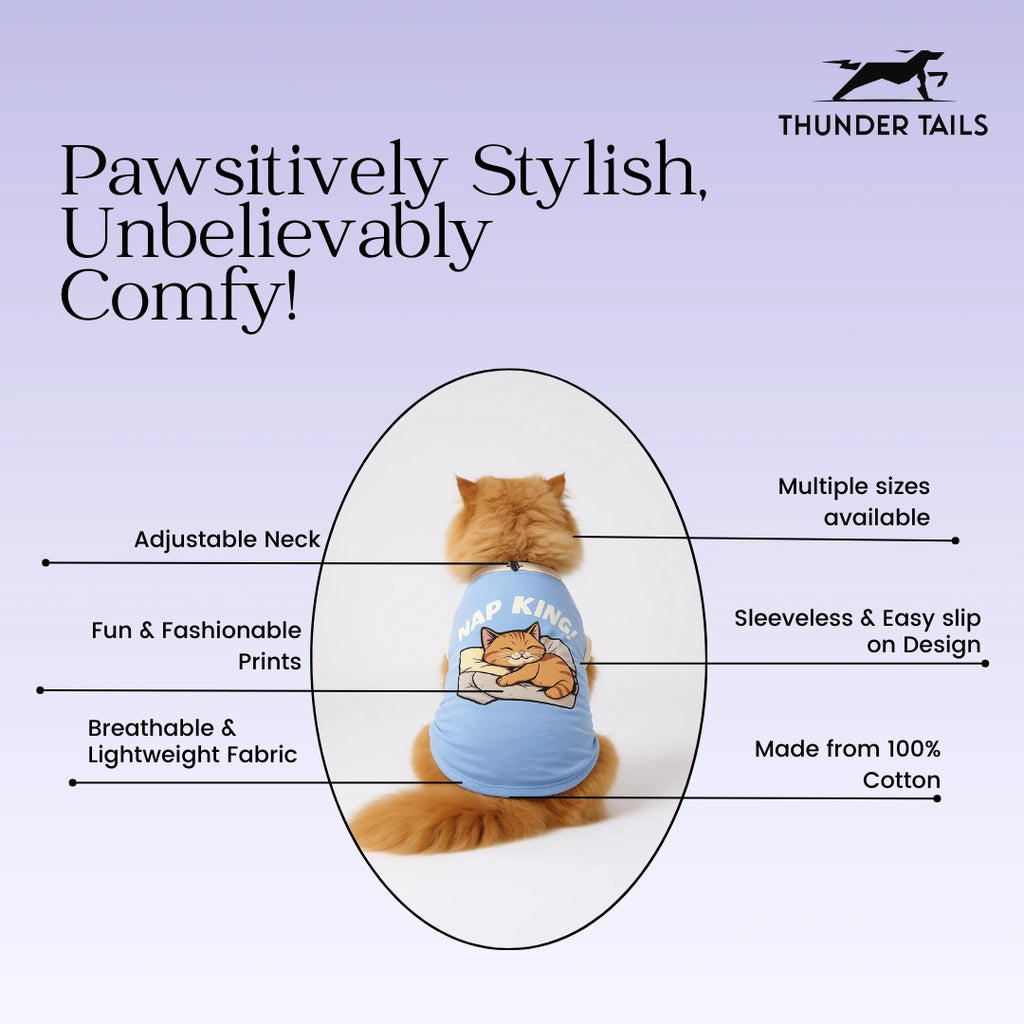 Thunder Tails Chaos Coordinator T-shirt