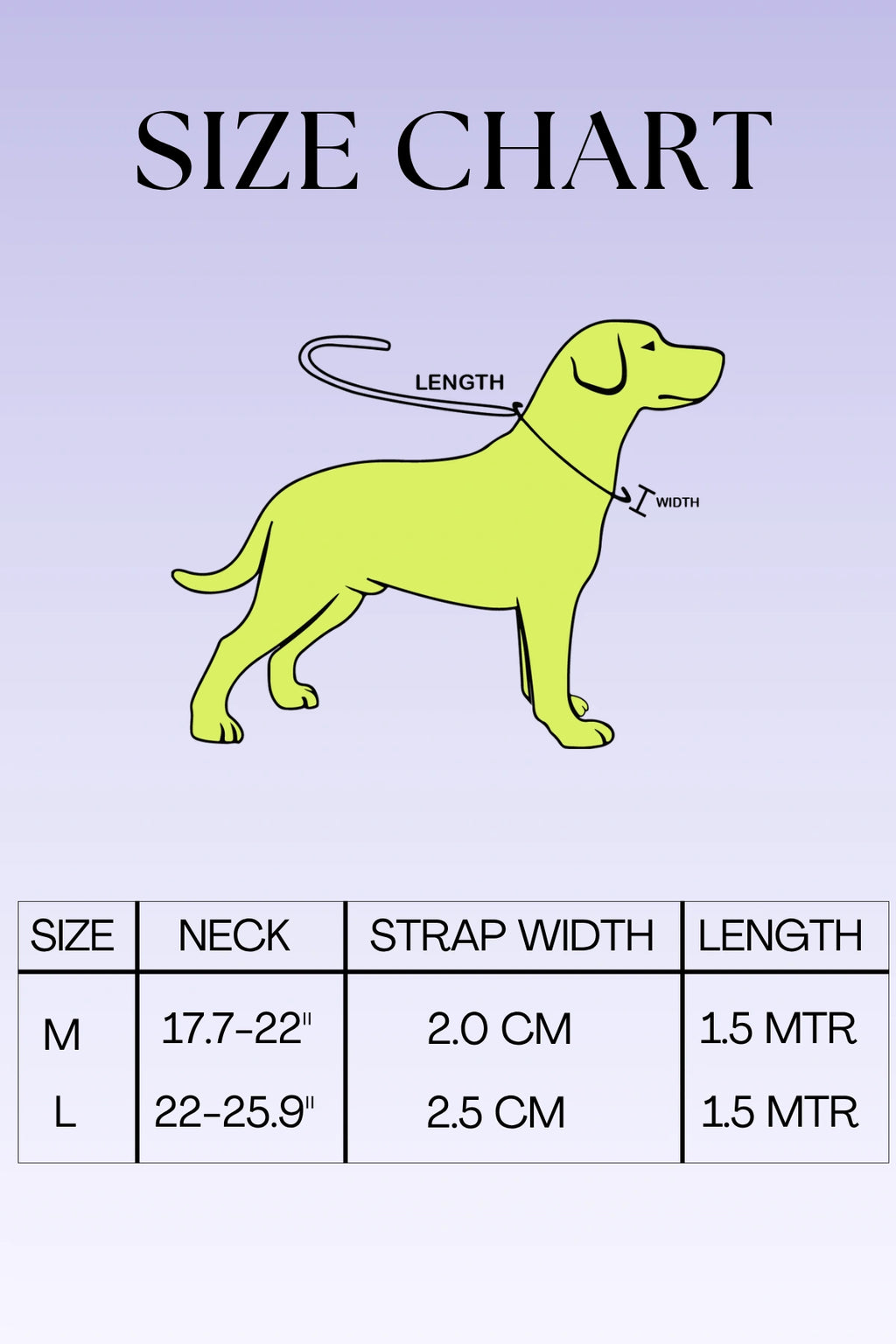 Thunder Tails Rangrez Collar + Leash Set - Yellow