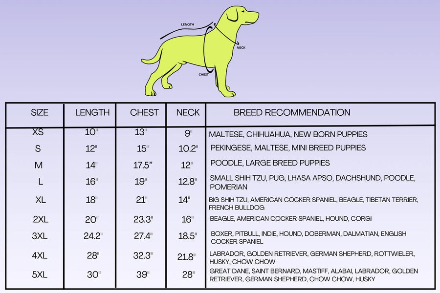 Dog Size Chart